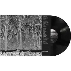 Pile - Sunshine and Balance Beams NEW Vinyl Record 617201805701