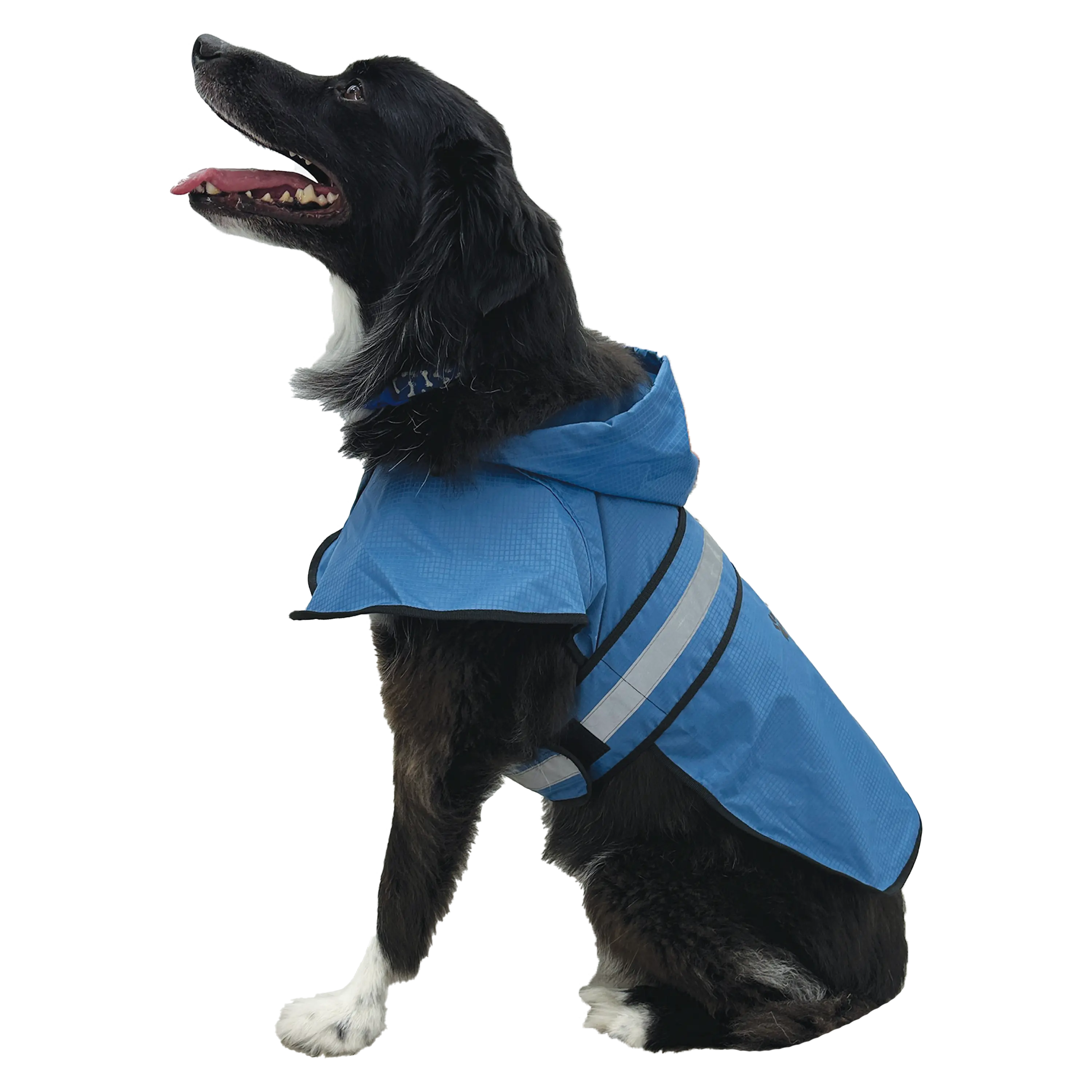 Frogg Toggs® Dogg Toggs Raincoat Frogg Toggs® Dogg Toggs Raincoat