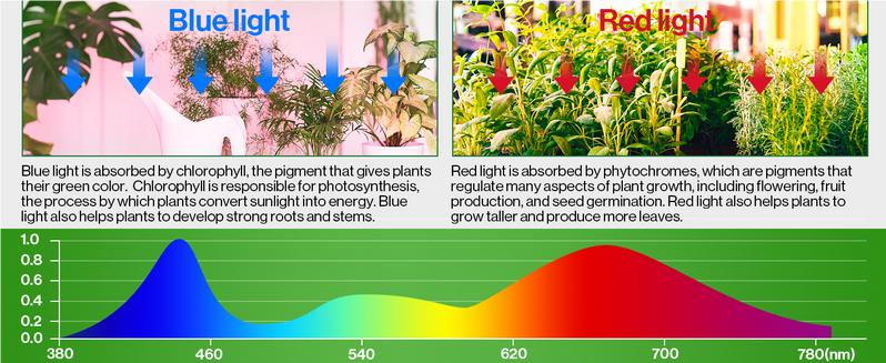 Sunco LED Grow Light 2ft, 20W Full Spectrum, Linkable, Ideal for Growing Plants