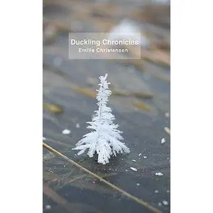 USED-Duckling Chronicles by Emilie Christensen (Paperback)