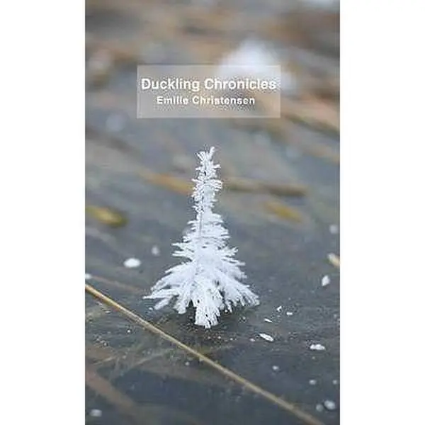 USED-Duckling Chronicles by Emilie Christensen (Paperback)
