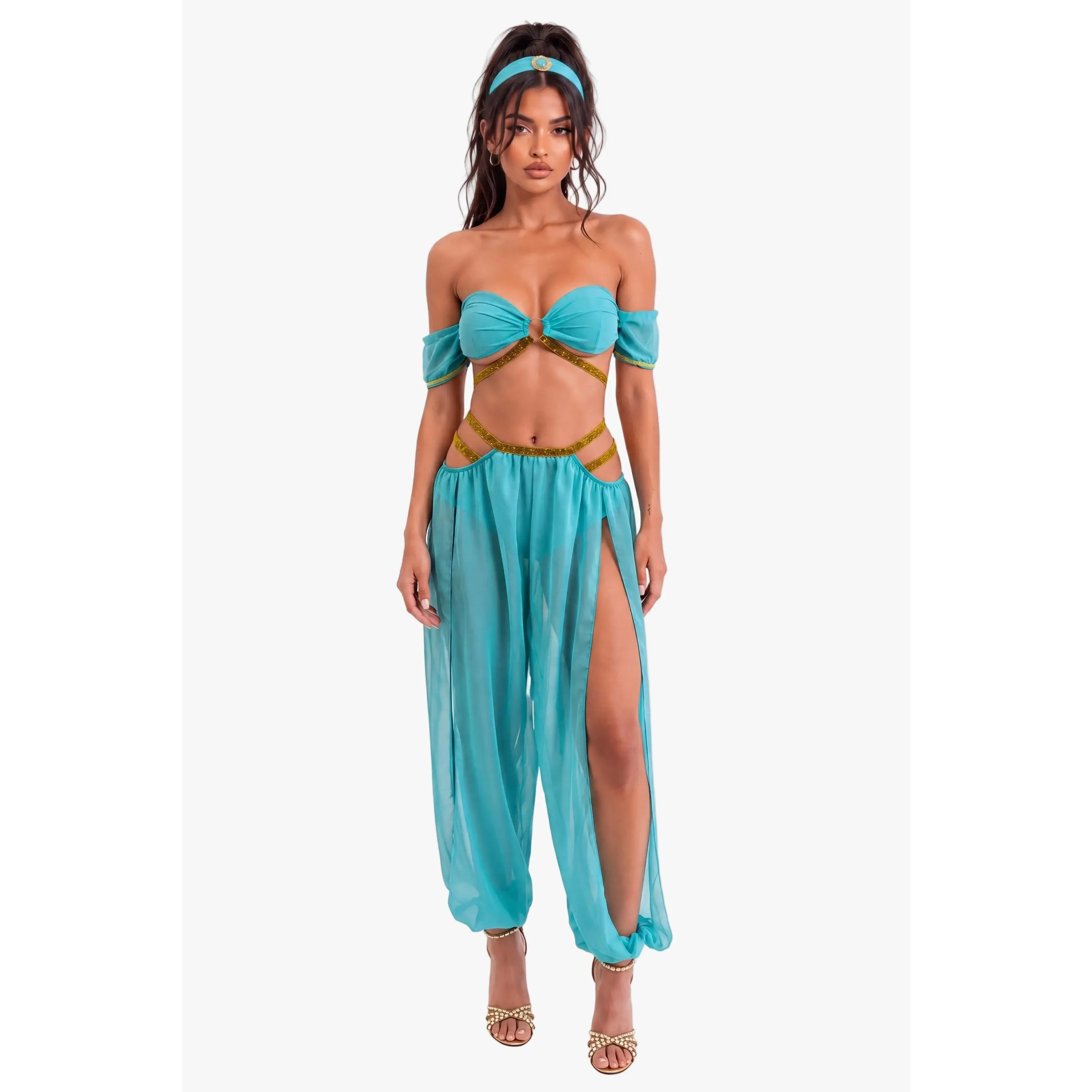 Princess of the Dunes Arabian Costume