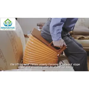 SeatLift Electric Lifting Cushion – Chair Assist for Elderly, Disabled, or Pregnant | Lightweight, Portable, Rechargeable | Lifts up to 220 lbs