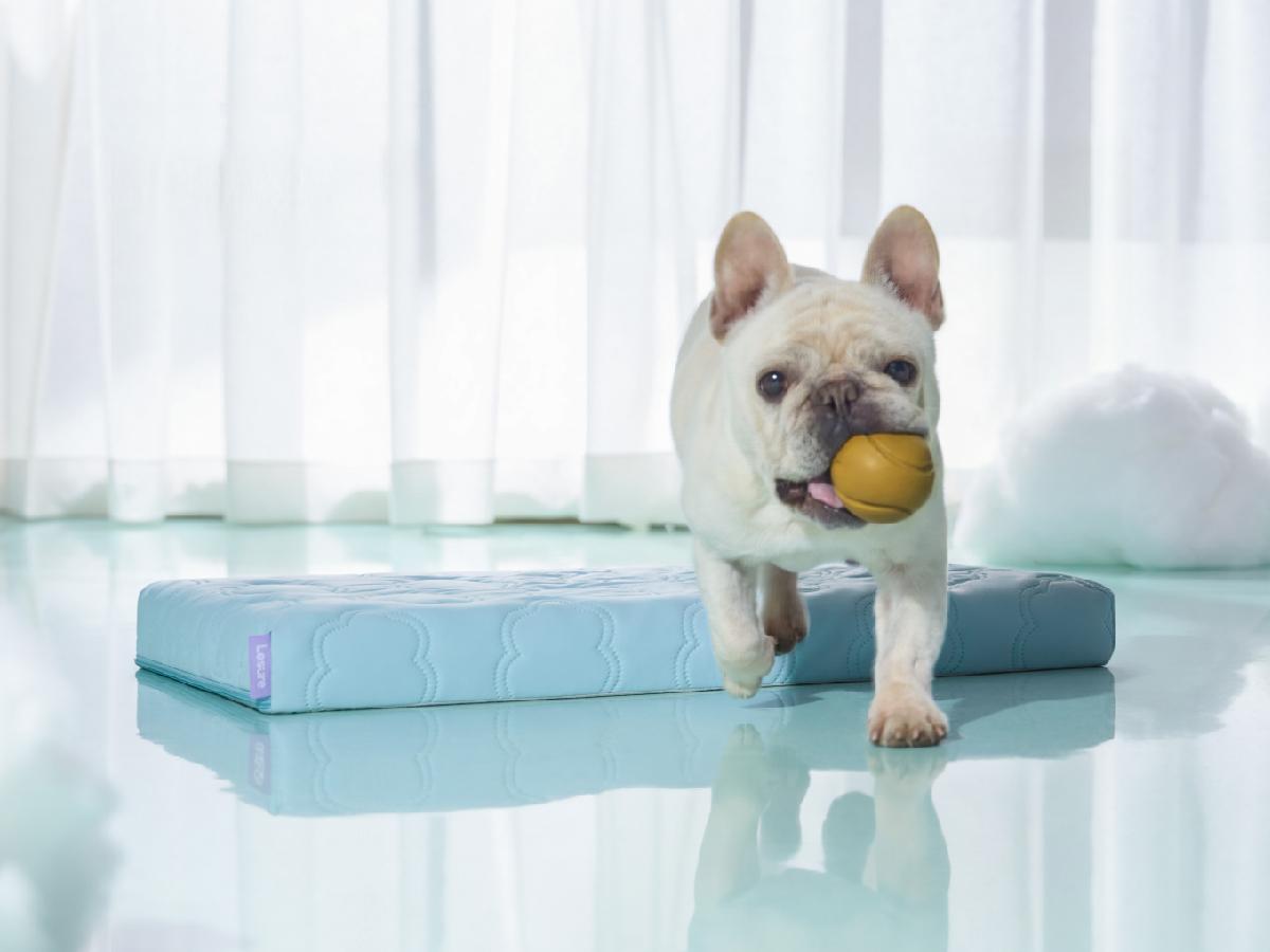 Lesure Cooling Orthopedic Dog Thick Mat – Q-Max>0.5 Cooling Mat with Washable Cover, Egg Crate Foam Non-Slip Bed for Extra Large Dogs summervibes