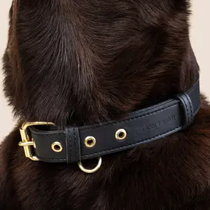 Cactus Leather Collar - Black