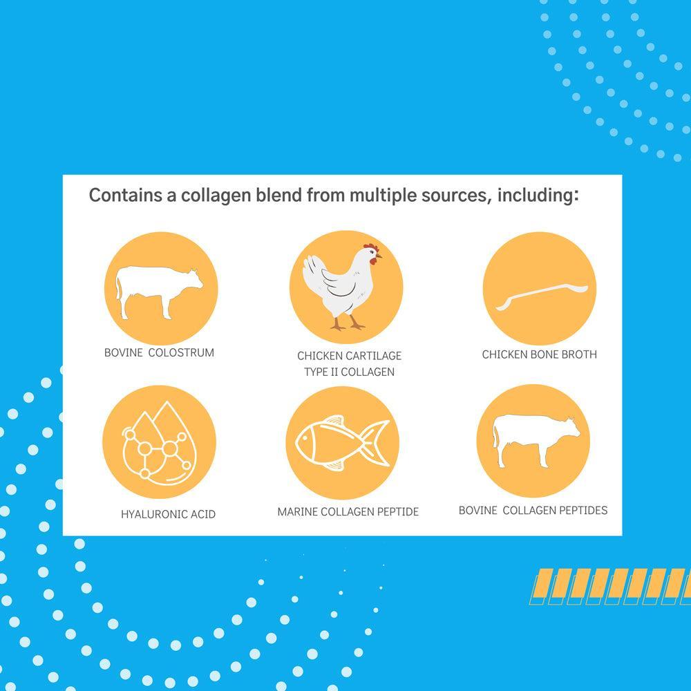 Colla-Holla with Colostrum - Multi-Sourced Collagen Peptide Supplement for Skin Elasticity & Joint Health - 30 Servings