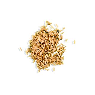 ALOHA Chocolate Protein Powder - 15 Servings - Certified USDA Organic - 100% Plant-Based - 18g Of Protein