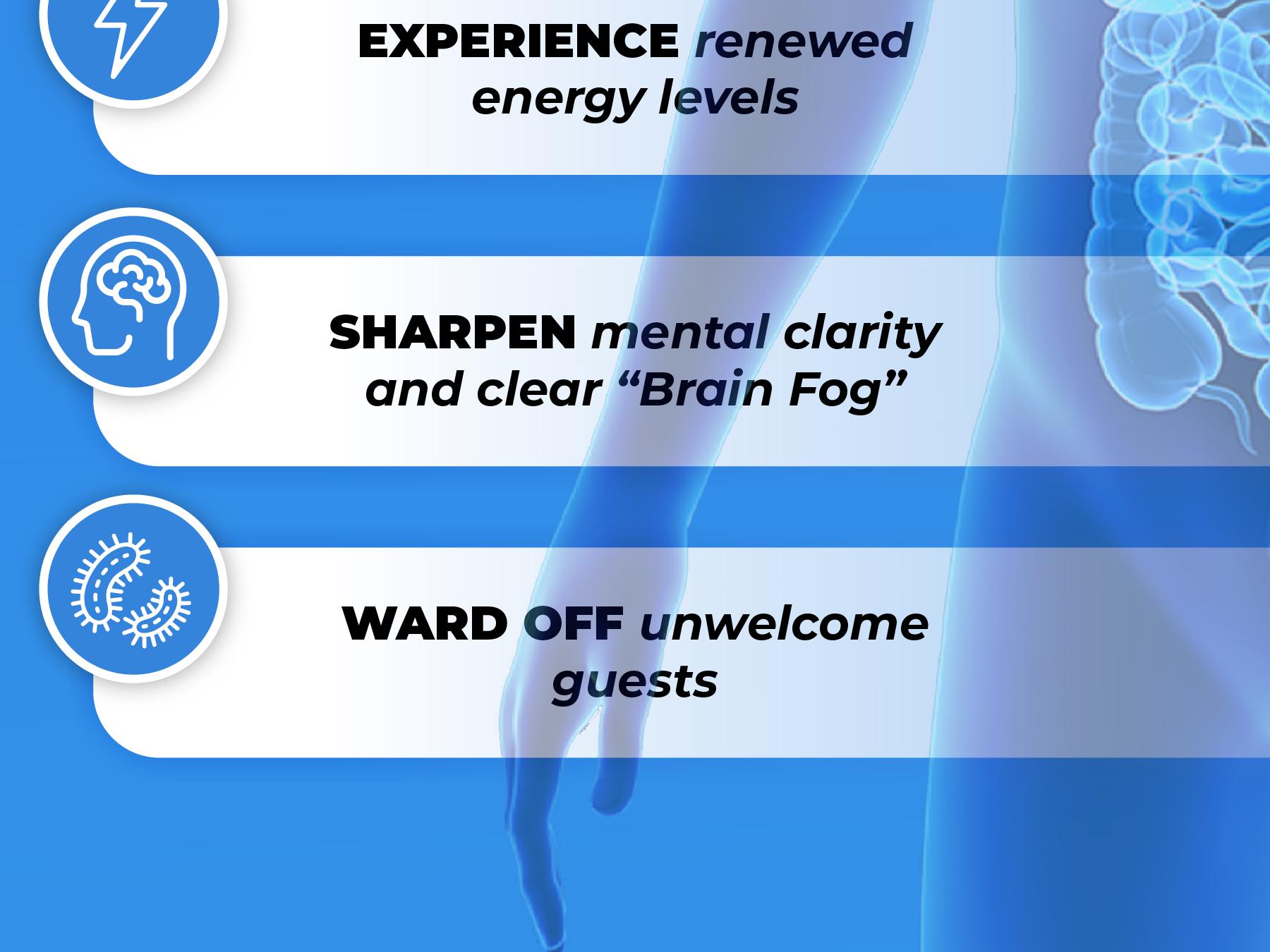 Parabroom, a Premium Gut Health Supplement and Gentle Gut Cleanse Formula, Supports Digestive Balance and Natural Detox Parabroom, a Premium Gut Health Supplement and Gentle Gut Cleanse Formula, Supports Digestive Balance and Natural Detox