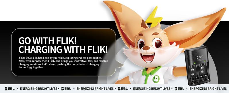 EBL 3 in 1 Multiple Function Battery Smart Charger With AA AAA Rechargeable Batteries Kit