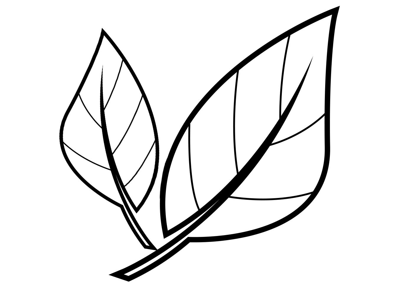 Static Nails 100% Non-Toxic, Odorless Nail Polish & Pop-On Remover - The First Odorless Nail Polish Remover - Gentle and Hydrating