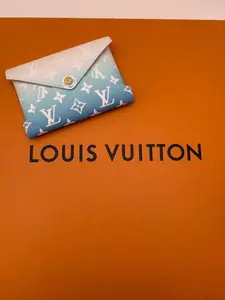 Pre-owned Louis Vuitton Coated canvas Small Leather Goods Kirigami MM Envelope