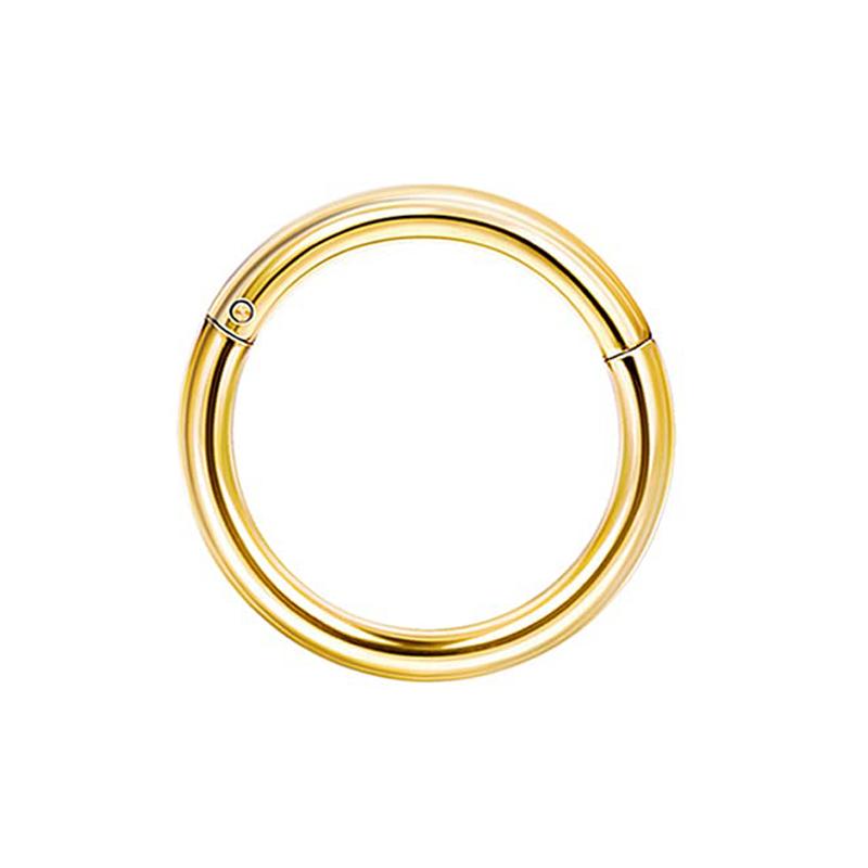 Drperfect 16G Septum Rings Stainless Steel Daith Earrings Nose Rings CZ Cartilage Helix Tragus Septum Clicker Piercing Jewelry