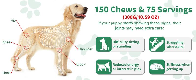 Petrivium Allergy & Itch for Dogs,Dental cleaning powder,32-in-1 Mutivitamin,Probiotic Chews,Turkey tail mushroon, powder,Hip&Joint chews,Natural drops for dog