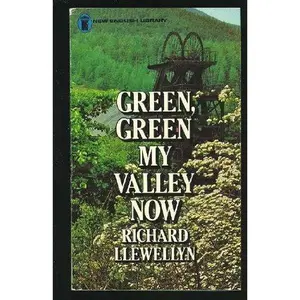 USED-Green, Green My Valley Now by Richard Llewellyn (Paperback)