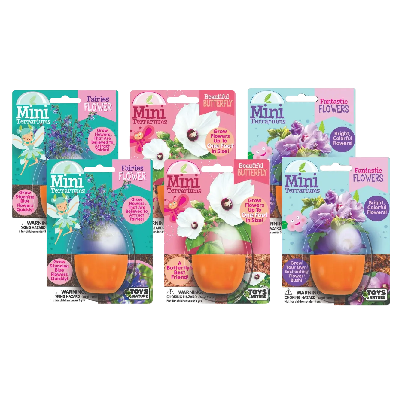 Flowering Mini Terrarium Bundle - 2 Each of 3 Varieties