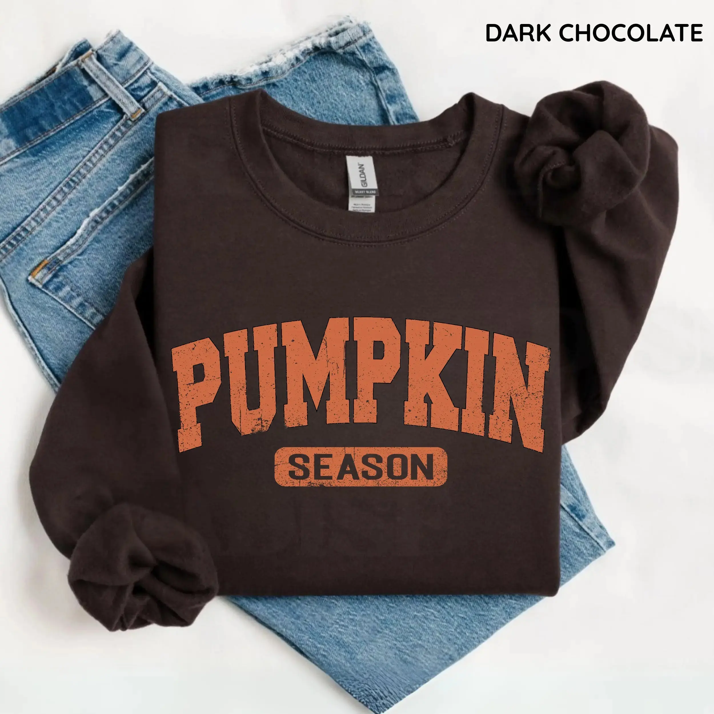 Retro Pumpkin Season Halloween Sweatshirt, Cute Autumn Pumpkin Graphic Crewneck, Cozy Fall Pullover, Spooky Season Outfit, Thanksgiving Halloween Gift