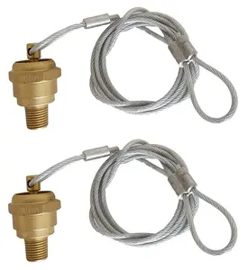 TORQUE Air Tank Drain Valve Plug Fitting 1/4" NPT with 48" Cable Valve, Air Compressor Drain Valve Cable, Semi Truck Trailer (Replaces Haldex 12105, OEM N3613AD) (2 Pack) (2 x TR12104)