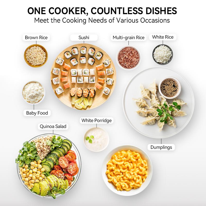 MALMES Mini Rice Cooker 2 Cup Uncooked, Small Electric Cooker, with 4 Cooking Functions, 24 Hour Preset and Heat Preservation, Anti Scald Carry Handle