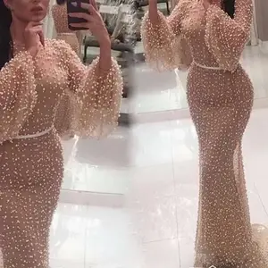 2025 Autumn New Women's Dress 5 Mesh Round Neck Puff Sleeve Bodycon Dress New Style