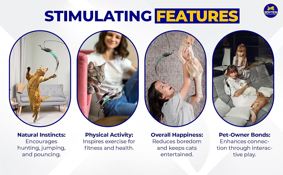 Cat Toy Wand Auto Interactive Toys for Indoor Cat 10 in 1 Hands-Free Natural Bird Feather Ball Toys, Suction Cup Pet Dancing Playing Toy