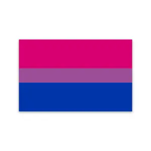 Bisexual Flag Sticker - Pink Top Section & Blue Bottom Section - Decorative Ornament for Home Decor