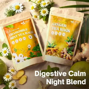 FreshDrinkUS Digestive Calm Night Blend, Chamomile Flower & Ginger Root Herbal Tea Bags, 100% Natural & Pure Flowers and Roots, Eco-Conscious Tea Bags, No Sugar, No Caffeine, No Gluten, Vegan – Herbal Beverage