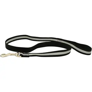 Jeffers Reflective Glow-in-the-Dark Safety Stripe Nylon Dog Leash, 1" W x 4' L