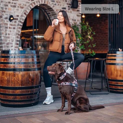 Dog Friendly Co. Harness - Easy to Fit No-Pull Design - Safe Secure and Comfortable - Ideal for All Dogs - Chafe-Resistant Lightweight Straps - Adjustable Straps for Perfect Fit