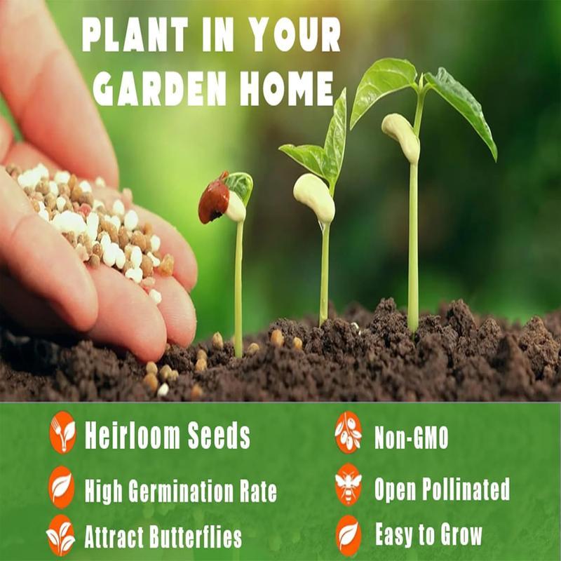 Climbing Jasmine Flower Seeds for Planting-Non-GMO Jasmine Gardenia Plant Fragrant Flower Garden Home