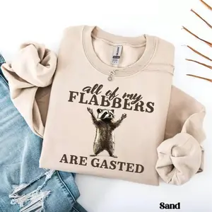 All of My Flabbers Are Gasted Sweatshirt, Funny Raccoon Sweater, Raccoon Graphic Long Sleeve T-Shirt, Funny Meme Hoodie, Vintage Retro Cartoon