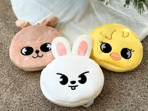 SKZ Mini Backpack, Embroidered fan made mini bag for Kpop fan Soft 10-12 Inches bag