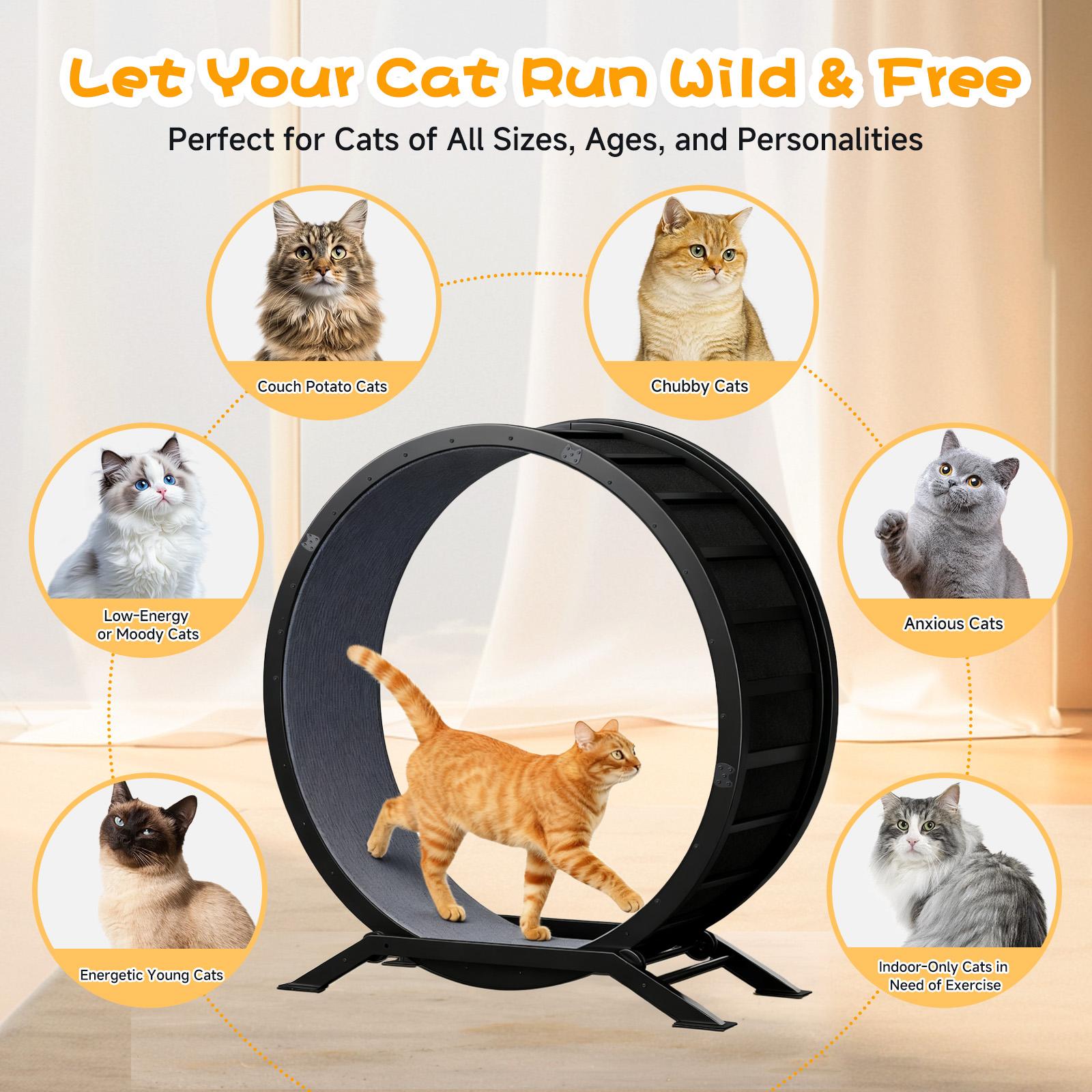 Burn cat energy! COMHOMA Ultra-Quiet Metal Cat Wheel | Sturdy Steel Frame Cat Exercise Wheel with Non-Slip Surface & Safety Lock, Extra-Wide Indoor Cat Treadmill for Weight Loss, Enrichment & All Cat Sizes