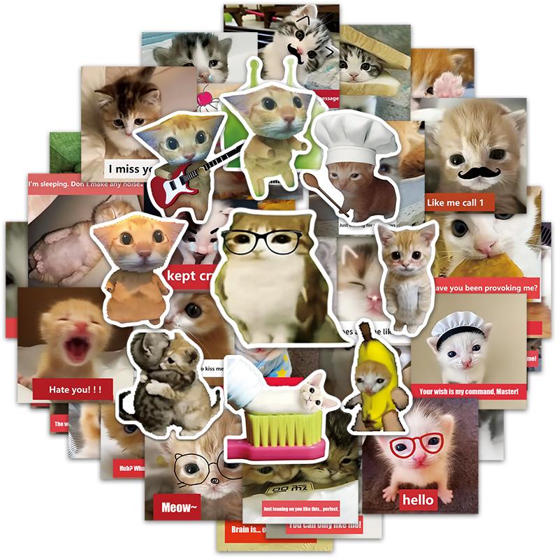 50 PCS Cat Meme Sticker Aesthetic Kawaii Cute Sticker Pack for Journaling, Phone Case & Laptop Decor Valentine's Day gift