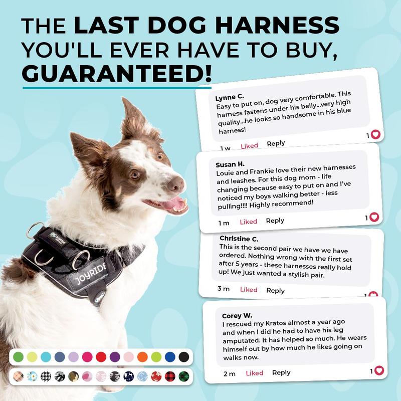 Joyride 2.0 Rainbow B-Grade Outlet - Easy On No Pull Dog Harness for Small Dogs – Jack Russell Terrier – Reflective – Side Rings – Strong Durable Handle – 13 personalized tags included