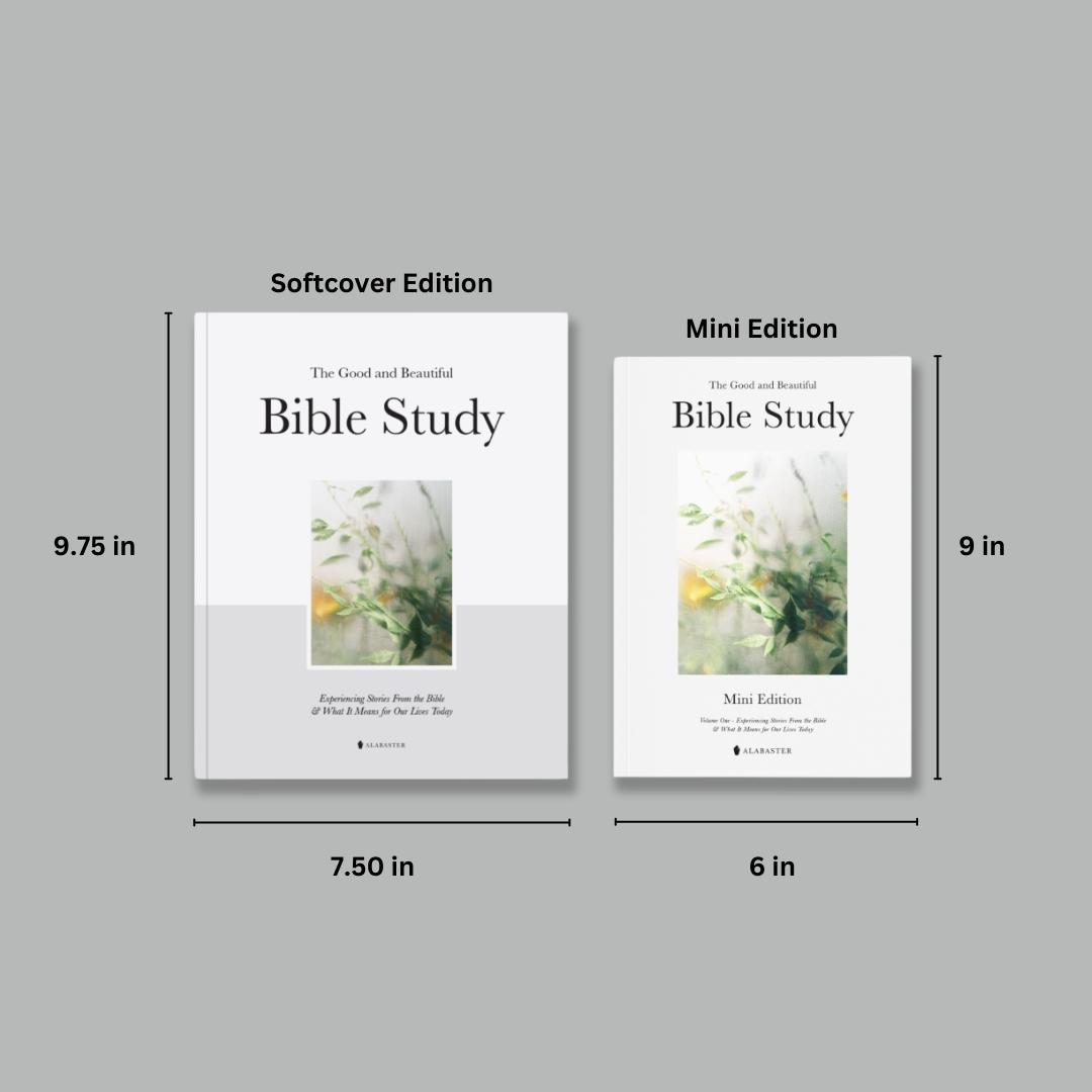 Alabaster The Good and Beautiful Bible Study Volume 1 - Guided Spiritual Bible Study with Daily Prayers and Contemplative Artwork, Thoughtful Gift for Men