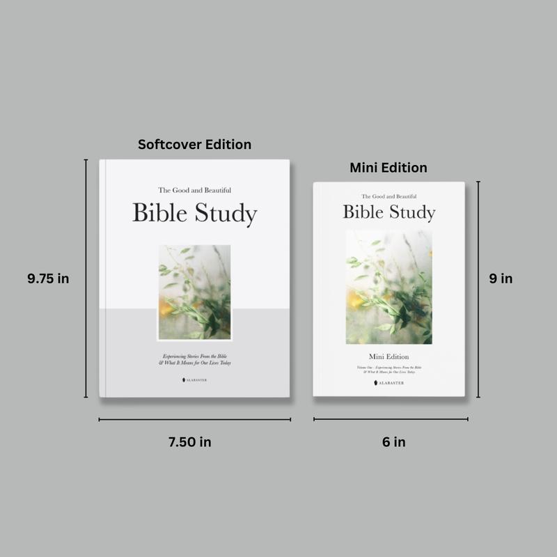Alabaster The Good and Beautiful Bible Study Volume 1 - Guided Spiritual Bible Study with Daily Prayers and Contemplative Artwork, Thoughtful Gift for Men Alabaster The Good and Beautiful Bible Study Volume 1 - Guided Spiritual Bible Study with Daily Prayers and Contemplative Artwork, Thoughtful Gift for Men