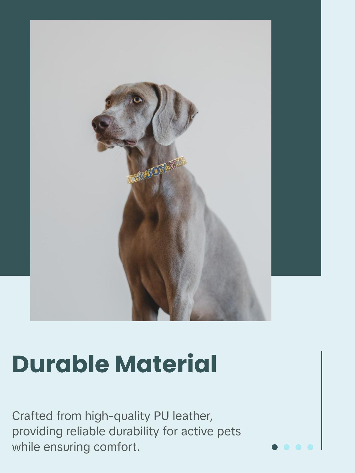 ALPHABET Shine Personalized Handmade PU Leather Dog Collar