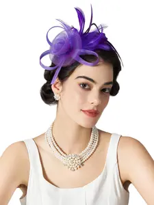 5 random pieces,Vintage Feather Mesh Headband – Elegant & Versatile Party Hair Accessory