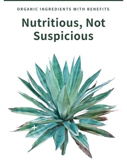 ALOHA Chocolate Protein Powder - 15 Servings - Certified USDA Organic - 100% Plant-Based - 18g Of Protein