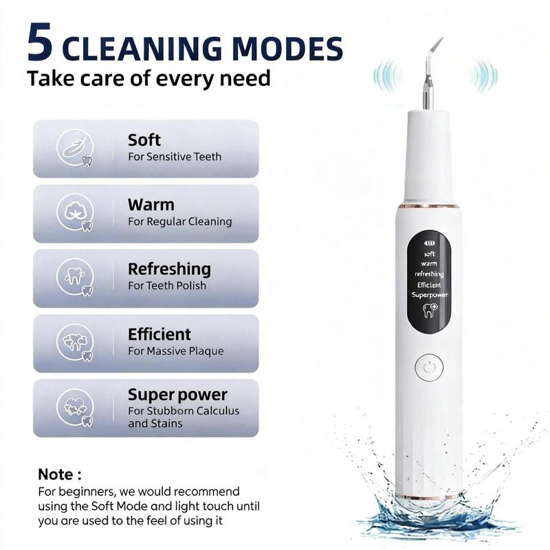 Fancylite Rechargeable LED Oral Plaque Remover，with Replacement Heads & Manual Auxiliary Cleaning Tools, Oral Irrigator for Home Use, Tartar Remover for Teeth,Remover Teeth Cleaning Kit
