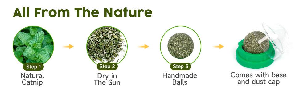 Catnip Toys Balls 4 Pcs, Extra Cat Energy Ball, Edible Kitten Silvervine Toys, Healthy Kitty Teeth Cleaning Dental Chew Toys, Cat Wall Treats Cat Stuf