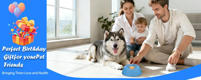 Pet dog bowl Slow Feeder Dog Bowls for Liquid Treat,[Built-in Rolling Ball] No Spill Bone Broth Dog LickingBowl,Multi-Purpose Puppy Yogurt Feeder Bowl for AllBreedsDietary Supplement/Post-op NutritionFeeding.valentinesgift for pets
