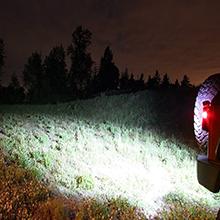 AUXITO 912 921 LED Bulbs for Backup Reverse Light Bulbs, 42-SMD 400% Brighter, 6000K White, Non-polarity 906 W16W T15 921 LED Bulb Direct Back Up Parking Light Replacement Lamp, Pack of 2 AUXITO 912 921 LED Bulbs for Backup Reverse Light Bulbs, 42-SMD 400% Brighter, 6000K White, Non-polarity 906 W16W T15 921 LED Bulb Direct Back Up Parking Light Replacement Lamp, Pack of 2