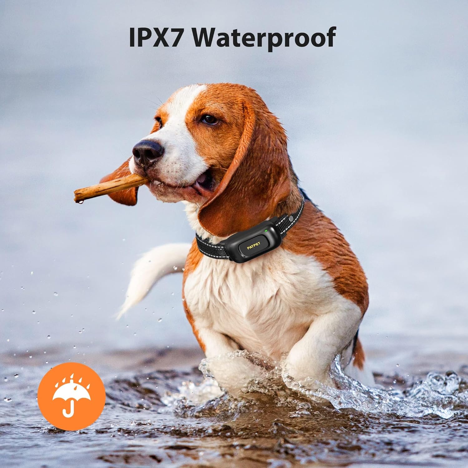 PATPET - Dog Training Collar with Remote, Collar for Small Medium Dogs 10-100lbs, Rechargeable IPX7 Waterproof Collar training  collars