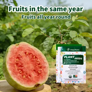 Guava Seeds for Home Garden Planting | Tropical Fruit Plant Seeds | Beginner Friendly Garden Seeds | Great for Backyard Garden, Patio Pots and Small Garden Growers