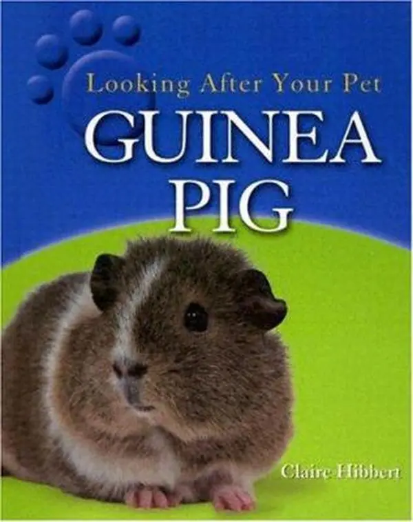 Used Pet Care Tutorial Book, "Guinea Pig: Looking After Your Pet" by Clare Hibbert (Unknown Publication Details)