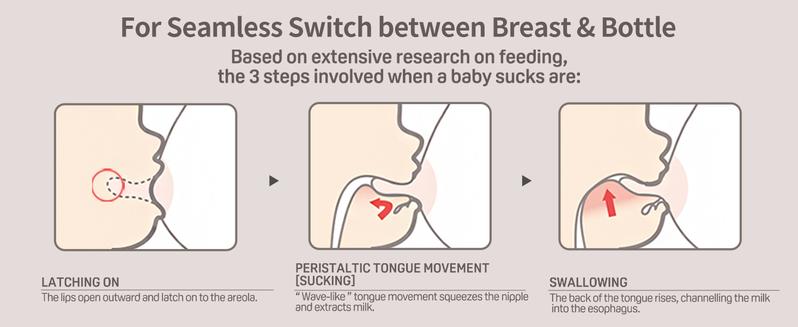 Pigeon Silicone Nipple with Latch-On Line, Nurture & Nest, Natural Feel, 3 Counts, 0+ Months, 1+ Months, 3+ Months, 6+ Months, 9+ Months,