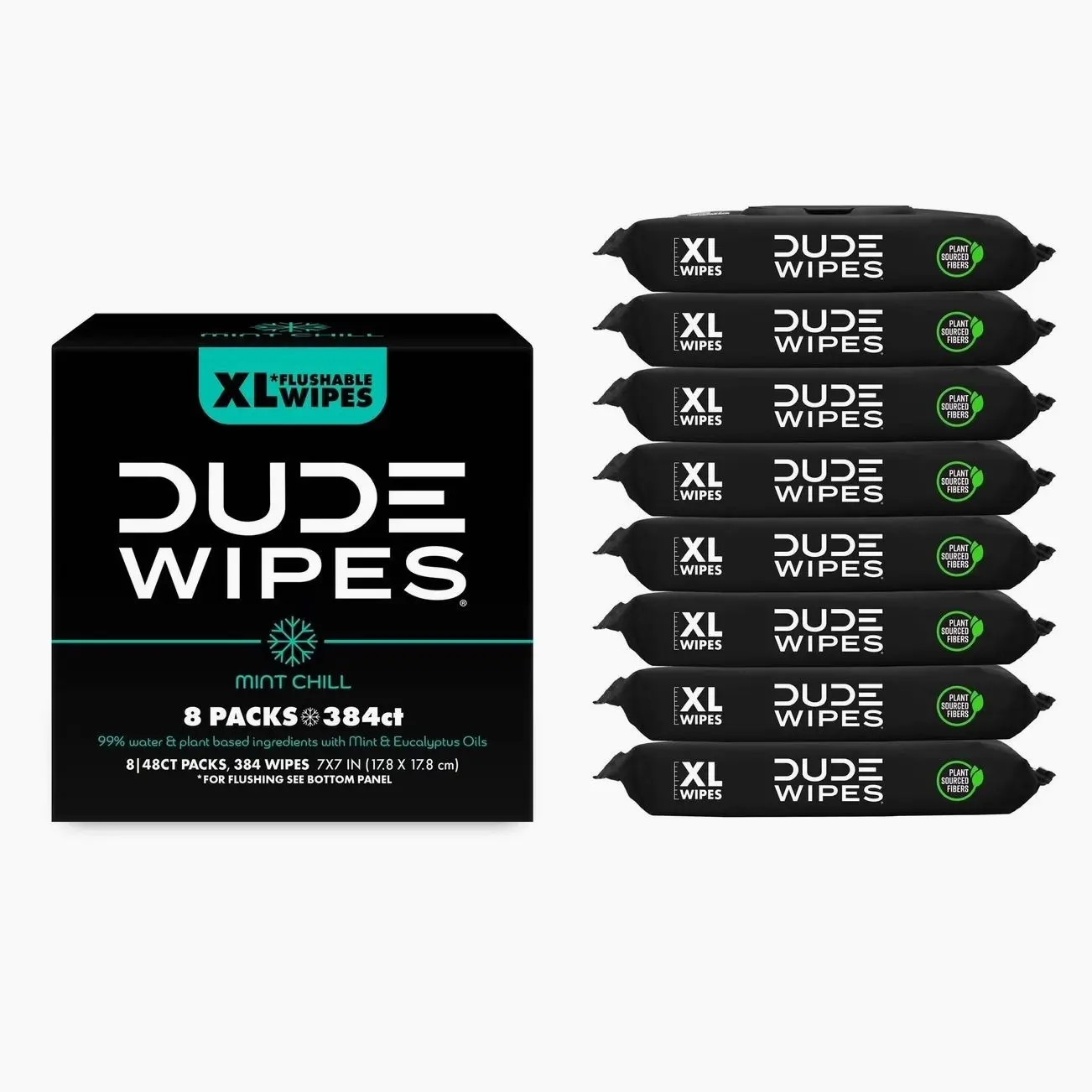 DUDE Mint Chill Flushable Toilet Wipes, XL Size, 48 Count per Pack, 8 Packs (384 Total), for Home Care Supplies (Select for More Options)