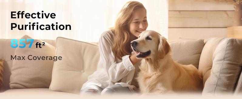 Nuwave OxyPure HEPA Air Purifier(HEPA 105)