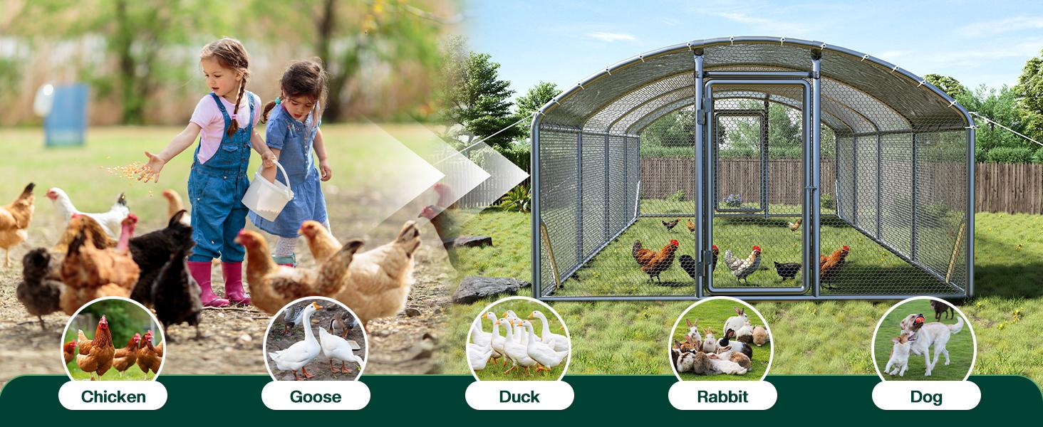 VanAcc Large Chicken Coop with Perch and Hinged Door, Spire Roof Walk-in Chicken Run with Metal Frame and PE Cover for Backyard Poultry, Ducks, Rabbits